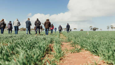 Farmers and researchers walking through a field.