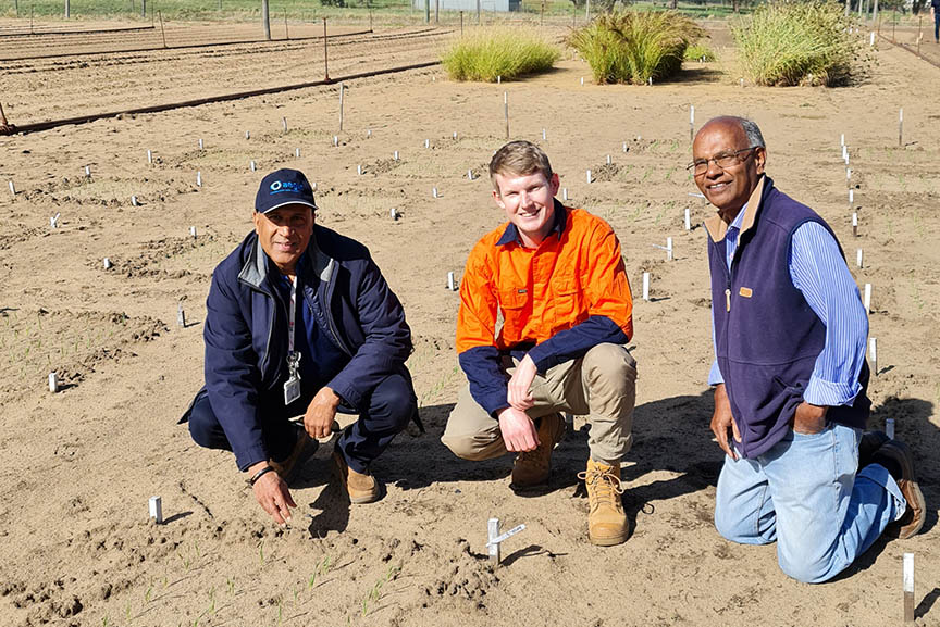 Soil CRC PhD student James O'Connor with supervisors Prof Nanthi Bolan and Prof Kadambot Siddique