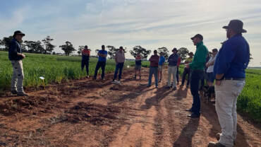 Hayden Thompson (Farmlink) presenting to growers at the Tallimba field site in Spring 2023