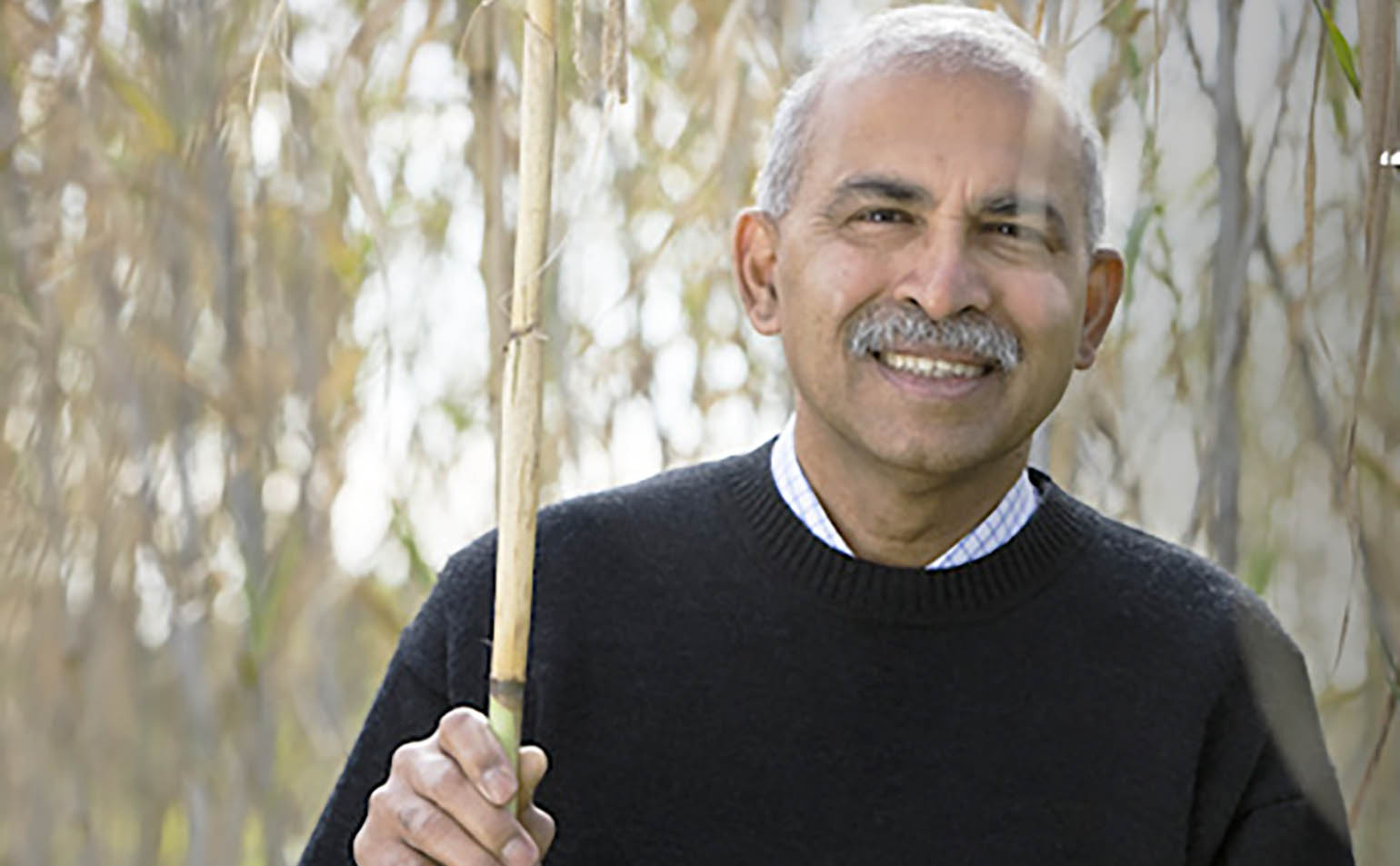 Professor Ravi Naidu, University of Newcastle