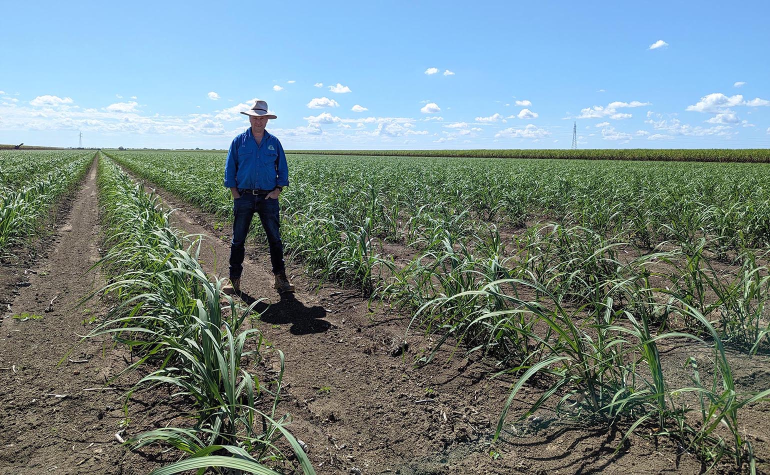 Burdekin Productivity Services Rob Milla standing at the Burdekin trial site