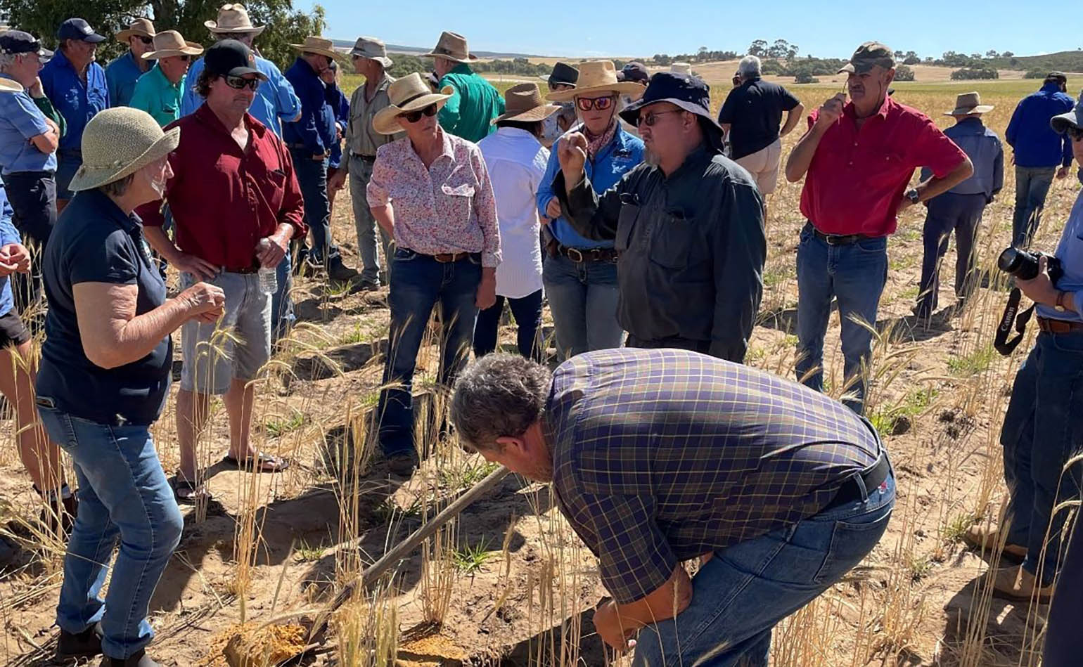 Growers standing in a field at a WMG extension event