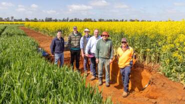 Soil CRC field trip participants standing in a soil pit in Junee NSW