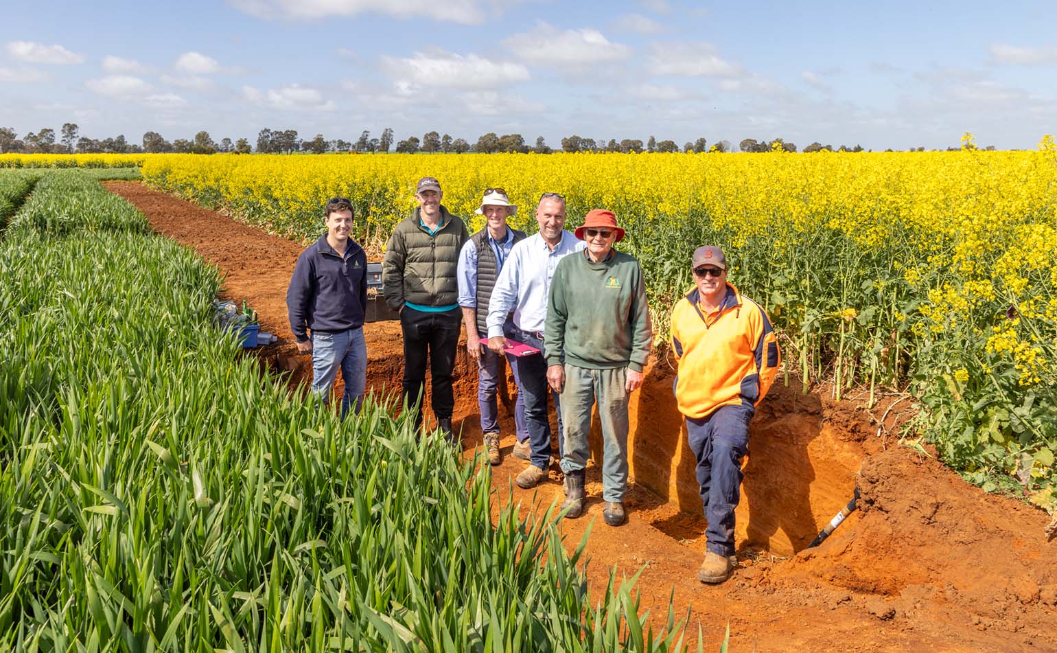 Soil CRC field trip participants standing in a soil pit in Junee NSW