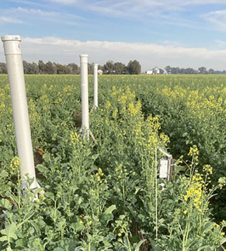 Downhole permeameters measuring soil water infiltration at Burramine, Victoria. August 2024. Photo credit:  A. Melland, UniSQ