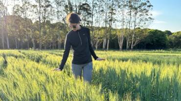 Soil CRC PhD student Maryam Barati inspecting a grain crop