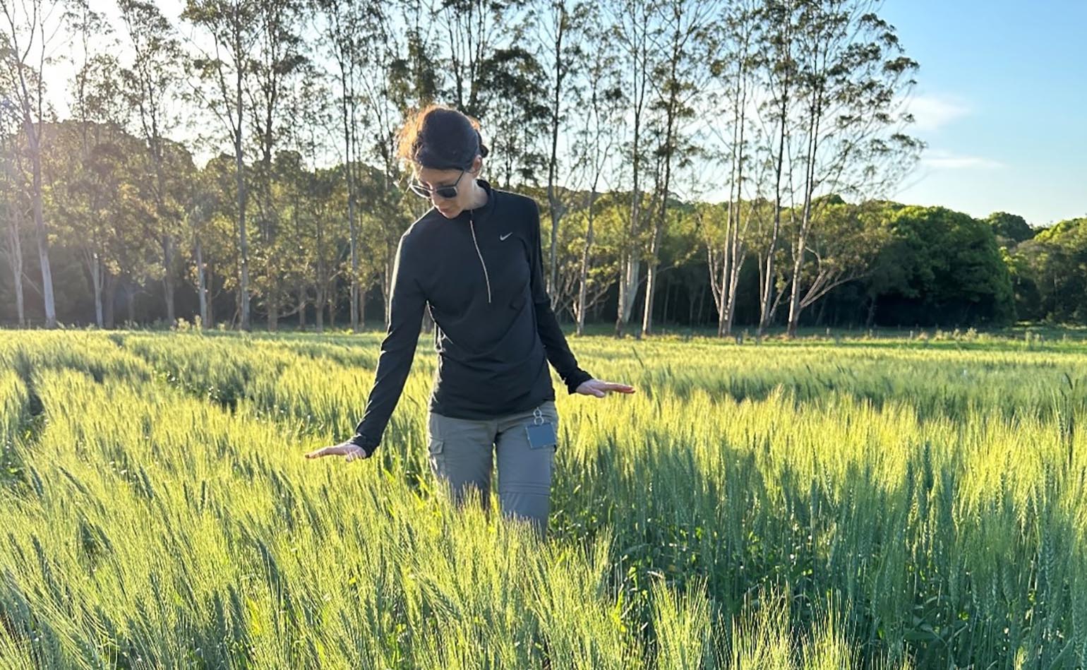 Soil CRC PhD student Maryam Barati inspecting a grain crop