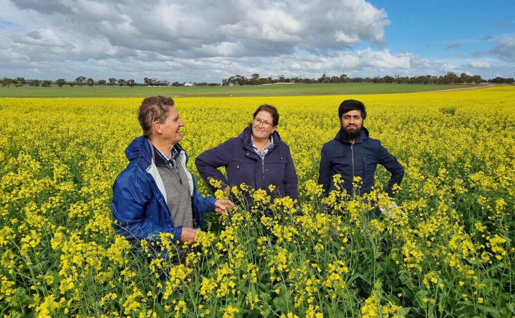 CFIG's Executive Officer Joy Valle stands in the yellow and green canola crop at the Kweda field site in WA with Soil CRC and Murdoch University researchers, Prof Richard Bell to her left and Dr Hassan Sardar to her right. They are all smiling. Source: CFIG.