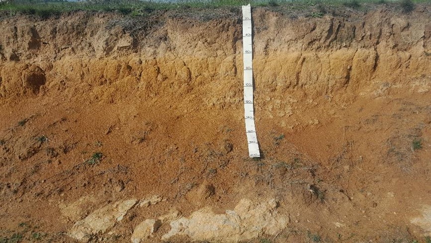 A close of photo of a soil pit showing the soil profile, with a tape measure placed along the wall of the pit.