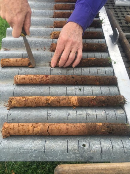 Close-up photo showing multiple soil cores in a row. Someone's hands are cutting one of the cores.