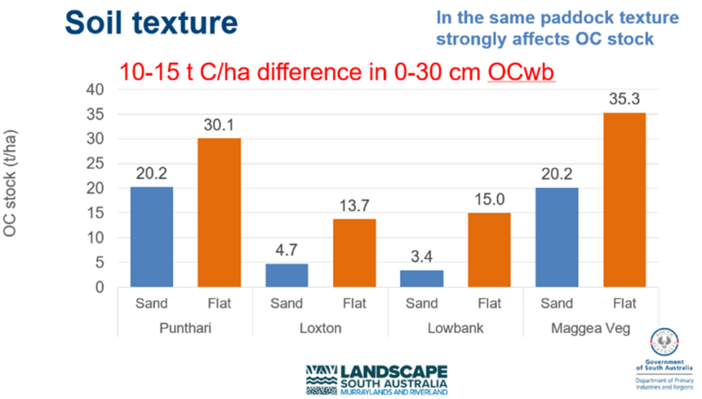 A bar chart showing soil organic carbon stocks at different locations.