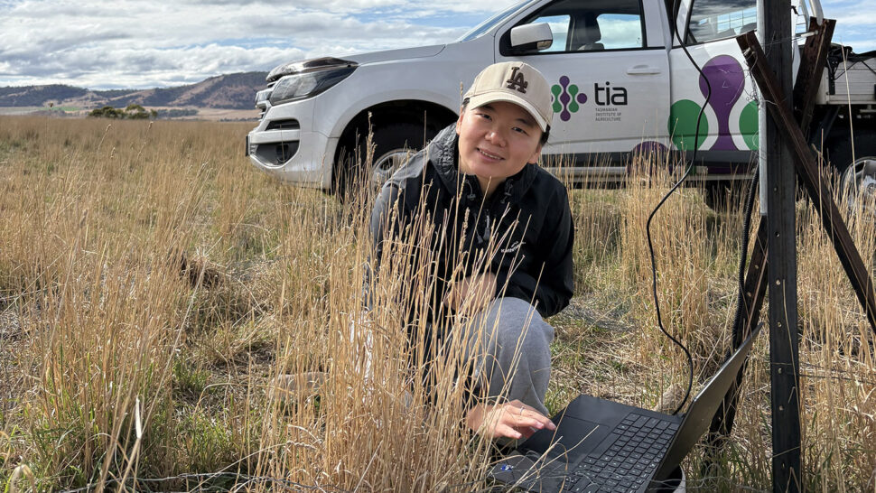Soil CRC PhD student Chenting Jiang crouching in a field while using a laptop. Behind her is a white ute with the Tasmanian Institute of Agriculture logo on its passenger door.