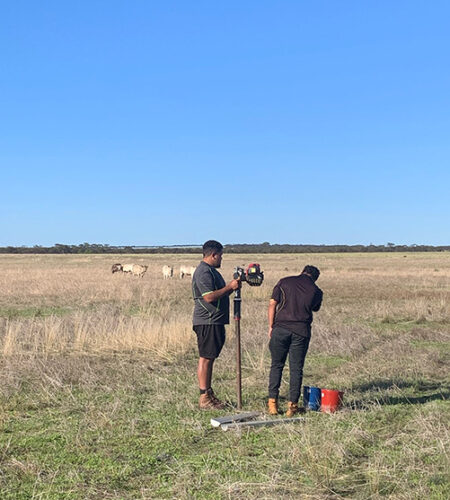 Wheatbelt NRM rangers taking soil samples at the Newtegate trial site in 2022