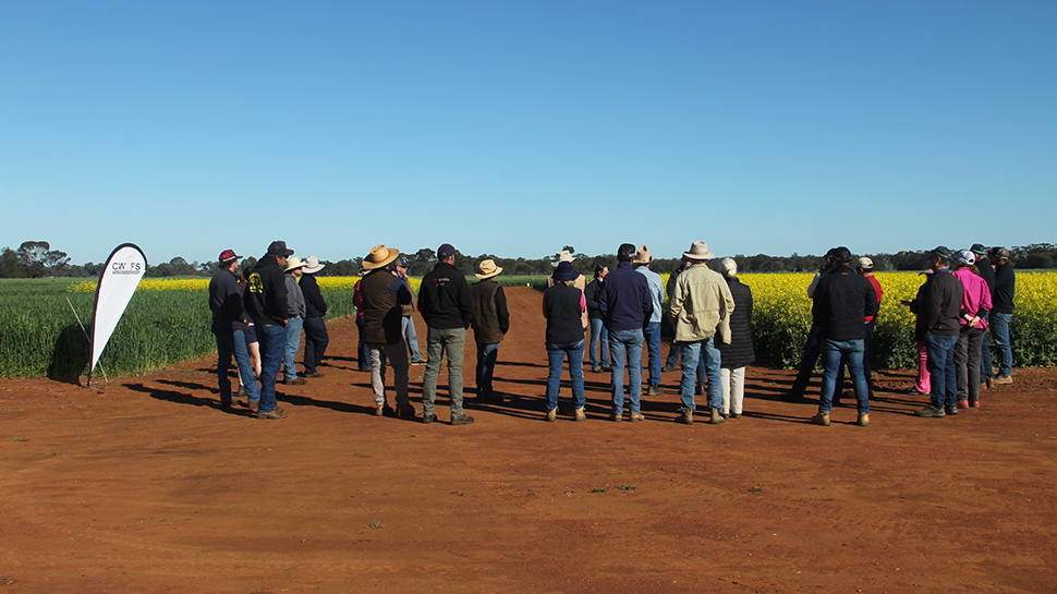 Farmers at the Central West Farming System Spring Field Day listening to Professor Terry Rose talk about our plant diversity field trial.
